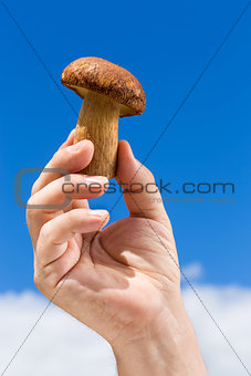 Boletus mushroom in hand