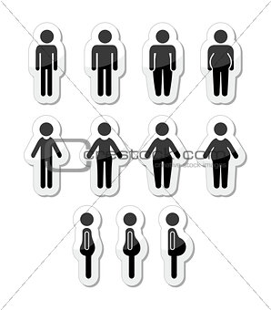 ID #3049914   	 Title Man and women body icons - slim, fat, obese, thin