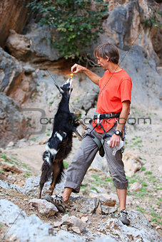 Climber feeding a goat at a cliff