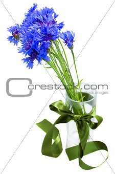 blue corn flowers bouquet in vase