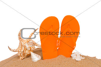 orange sandals and seashells in sand