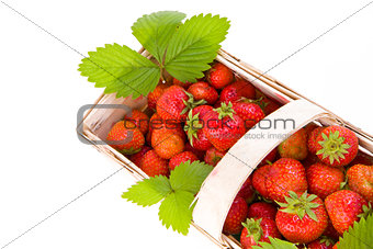 Strawberries in the basket