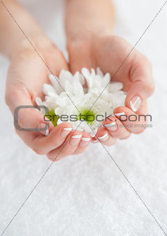 French manicured hands holding flowers