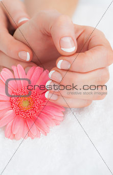 Flower with french manicured fingers