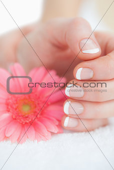 Flower with french manicured fingers