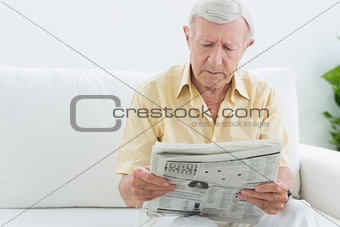 Elderly concentrated man reading newspapers