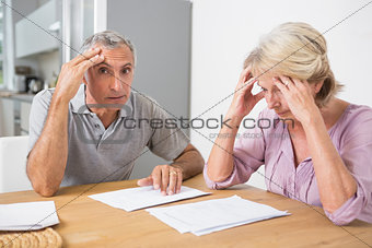 Concentrated couple reading documents together