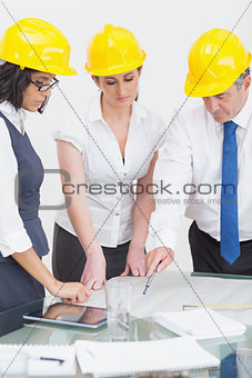 Architects looking at plan