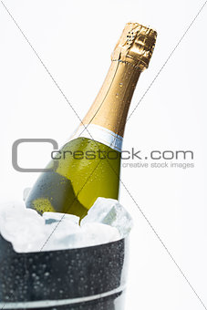 Champagne cooling in ice bucket