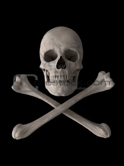 poison or toxic skull symbol