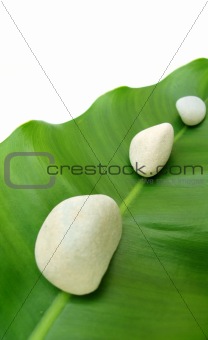 White pebbles on green leaf - Natural spa