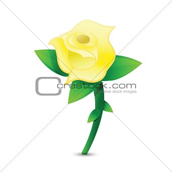 yellow rose illustration design