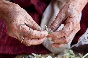 grandmother hands