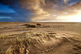 sand beach and dramatic sky