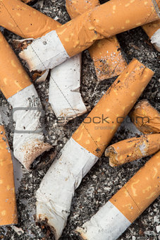 Close up of cigarette butts