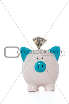 Dollar note sticking out of hand painted blue and white piggy bank