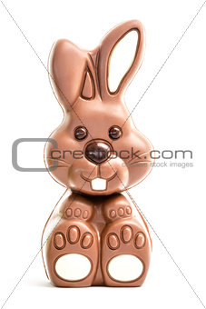 Cute chocolate bunny