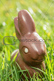Chocolate bunny in the grass