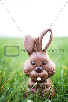 Chocolate bunny sitting in the grass