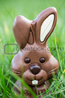 Chocolate bunny nestled in the grass