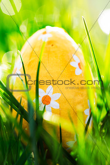 Easter egg nestled in the green grass