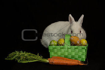 Easter bunny with basket of eggs and carrots