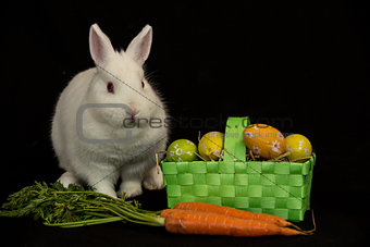 Easter bunny with green basket of eggs and carrots