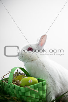 Easter bunny rabbit sitting with basket of easter eggs