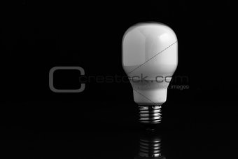 Energy saving bulb standing on black background