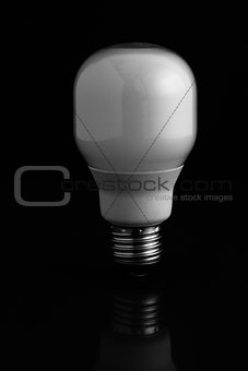 Energy saving light bulb standing on black background