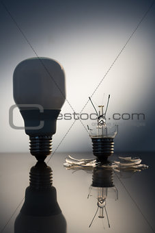 One economic bulb standing next to a broken clear light bulb