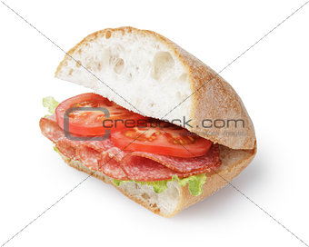 big sandwich with salami cheese and tomato