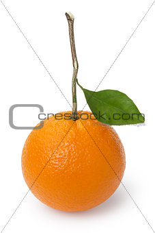 ripe round orange with stem and leaf