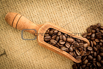Wooden shovel full of coffee beans