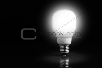 Light bulb standing and lighting