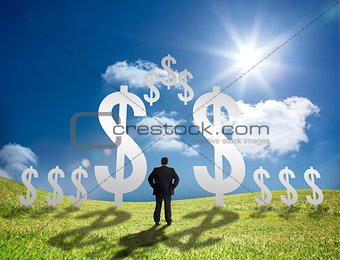Businessman standing in a field with dollar signs