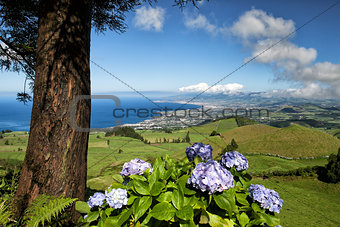 The landscapen on Sao Miguel