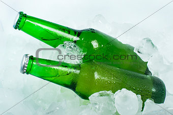 Green Bottle of beer