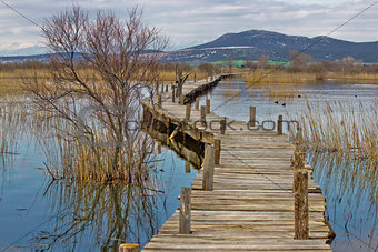 Vrana lake nature park wooden boardwalk