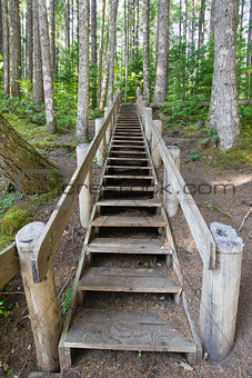 Wood Staircase in Hiking Trail
