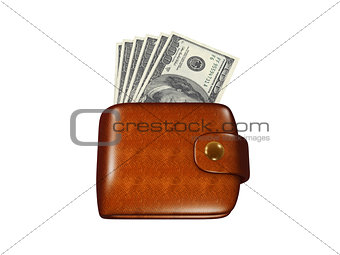 wallet full of dollars 