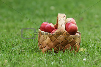 wicker basket full of gala apples