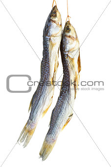 Salted mullet fishes