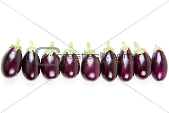 Eggplant fruit on white background with copyspace
