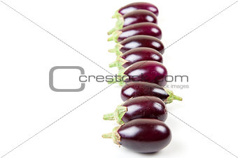 Row of eggplant fruit with copy space