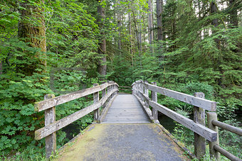 Wooden Foot Bridge Along Hiking Trail