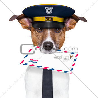 mail dog