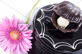 Chocolate cake and african daisy