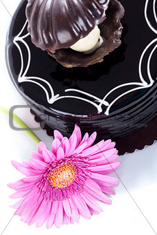 Chocolate cake and african daisy