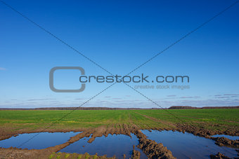 Landscape with a flooded fields